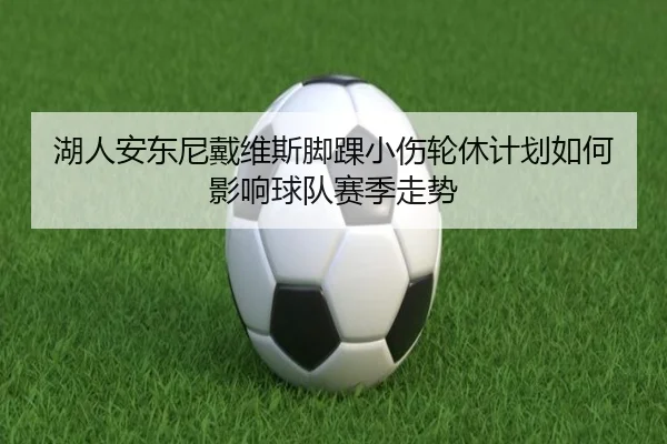 湖人安东尼戴维斯脚踝小伤轮休计划如何影响球队赛季走势